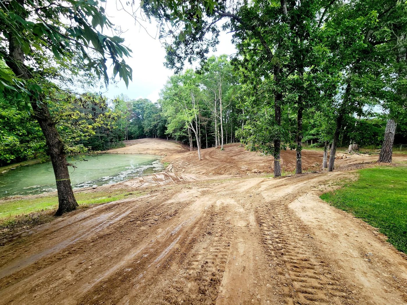Pond bank reshaped and graded with new access road